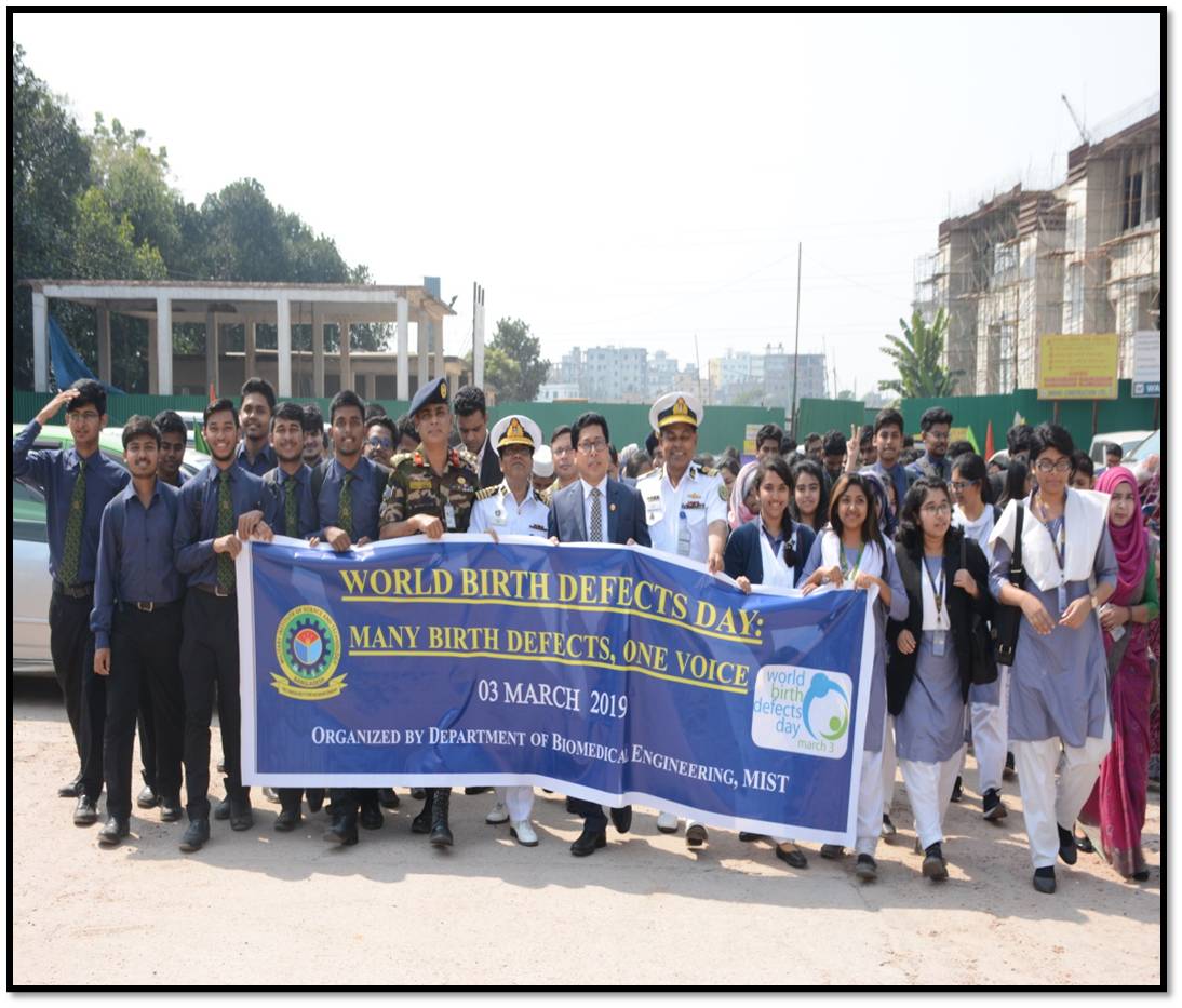 Biomedical Engineering Departmental History